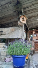 scorcio esterno della casa